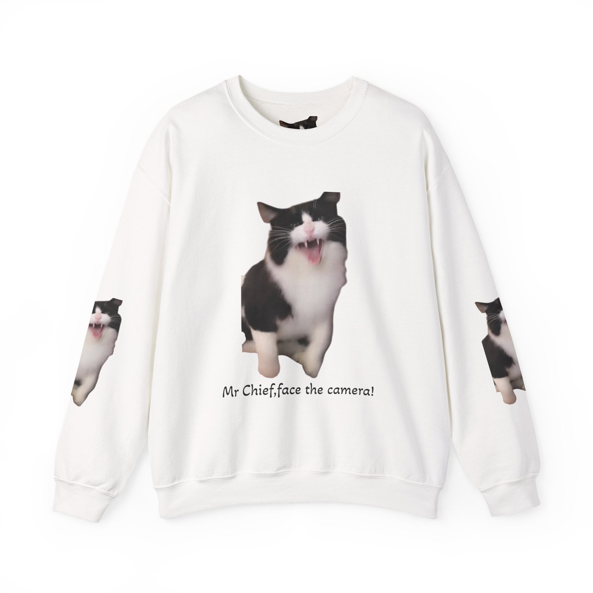 Crewneck Sweatshirt — 'Mr Chief, face the camera!' Funny Black & White Cat Photo Pullover