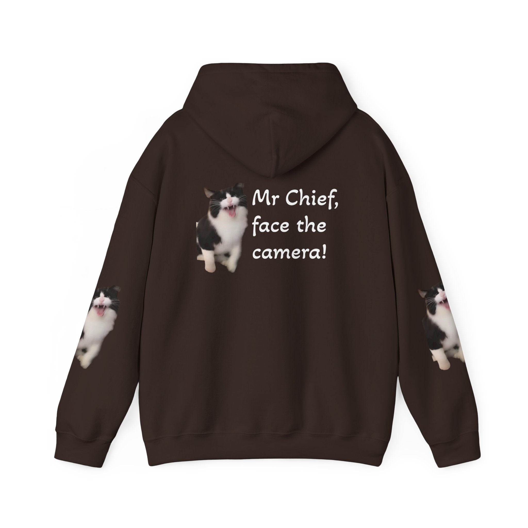 Cat Photo Hoodie — "Mr Chief, face the camera!" Novelty Cat Lover