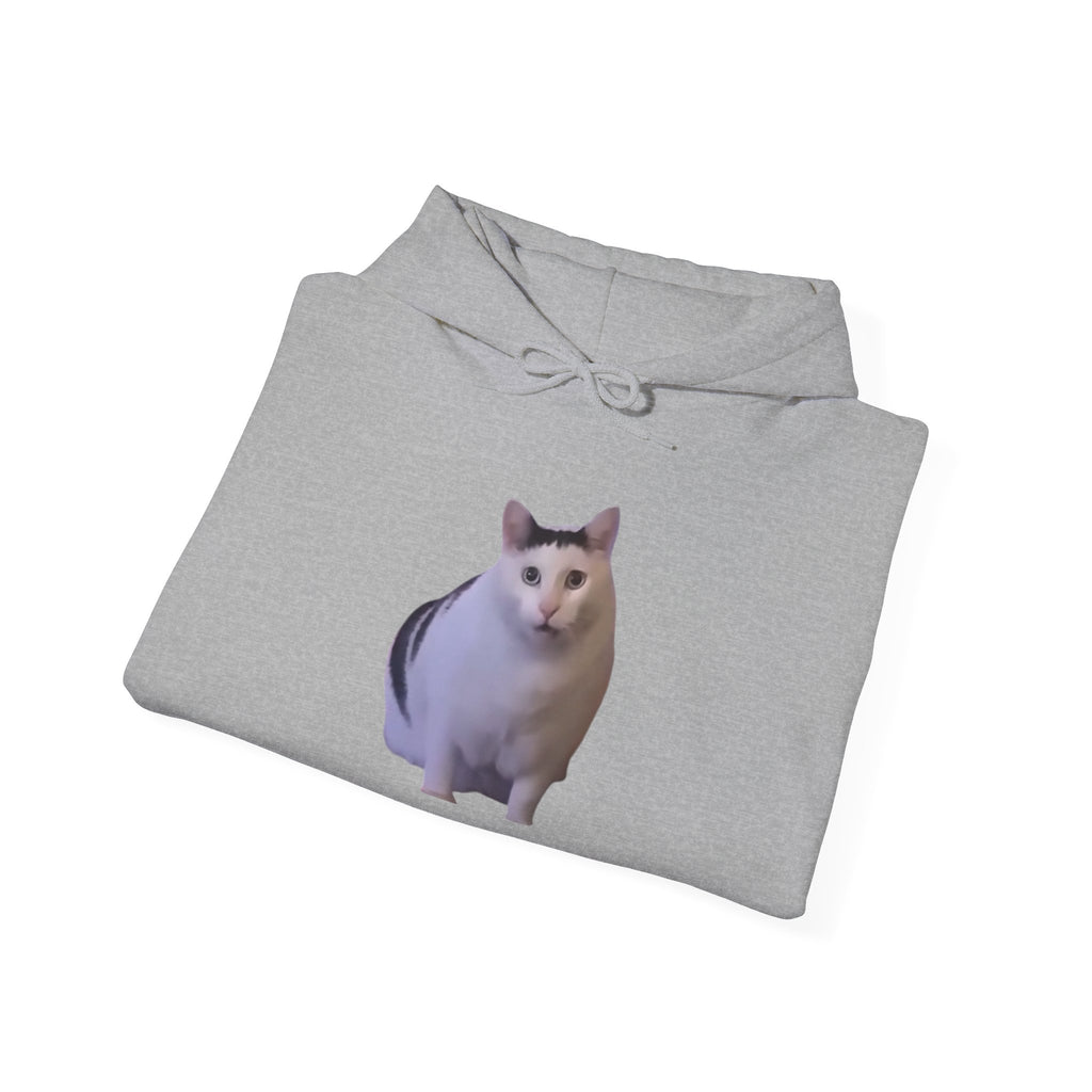 Cat Meme Hoodie — 'HUUUUUUUH' Funny Viral Cat Photo