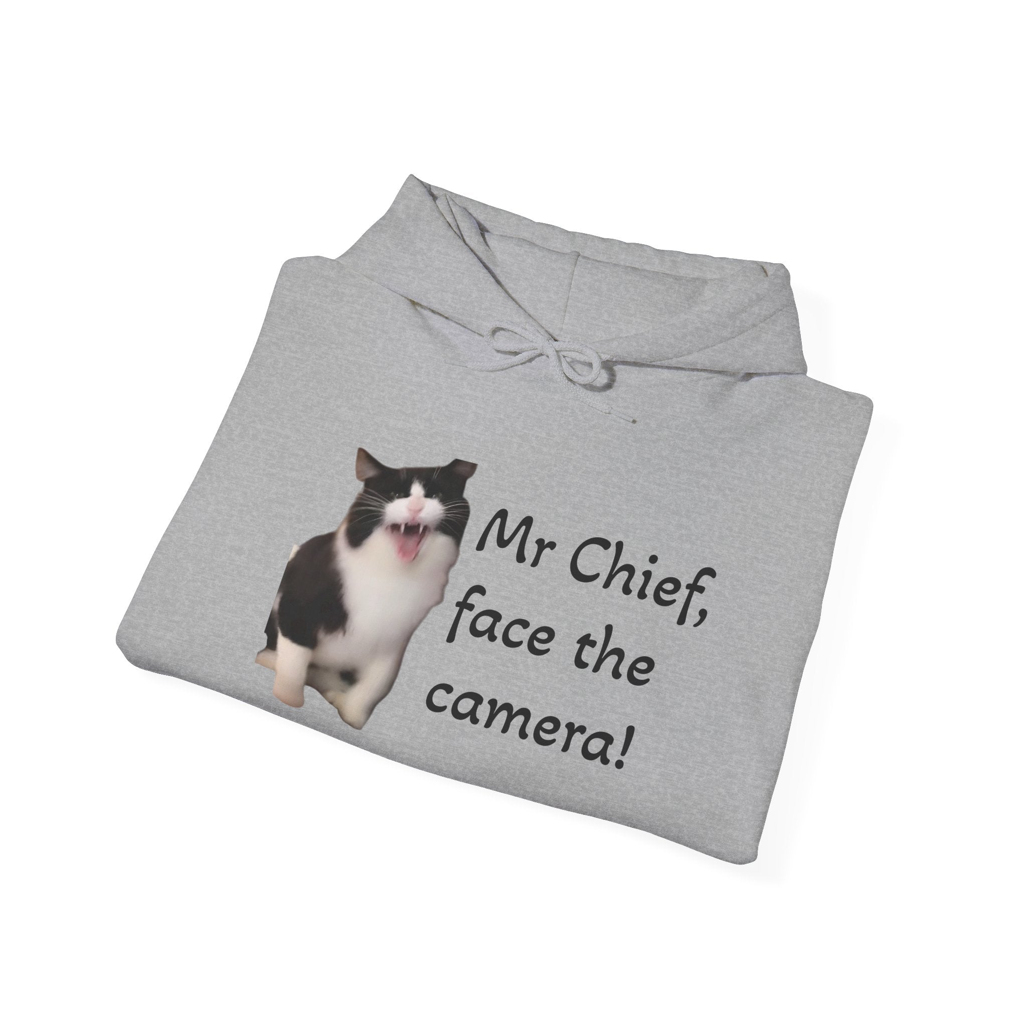 Cat Photo Hoodie — "Mr Chief, face the camera!" Cute Tuxedo Cat Portrait Sweatshirt