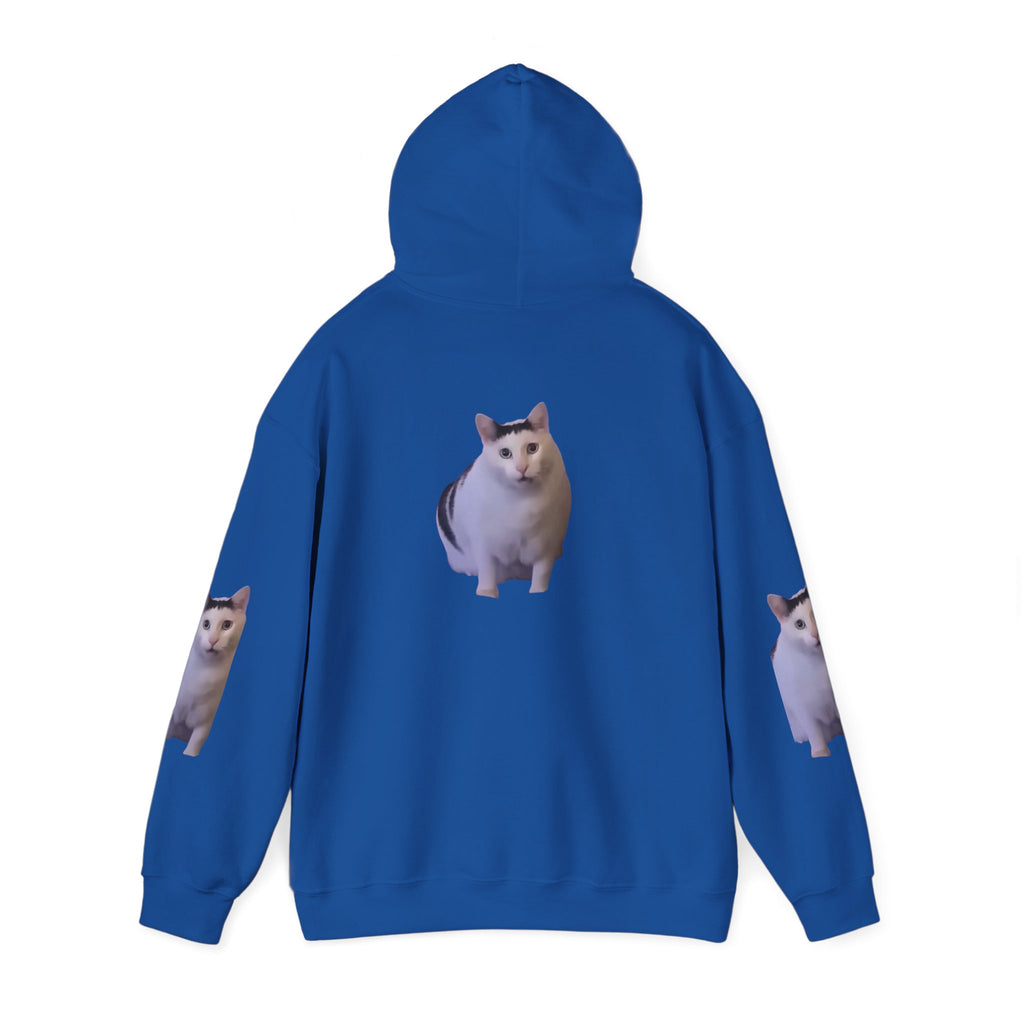 Cat Photo Hoodie – Cute Chubby Cat Pullover