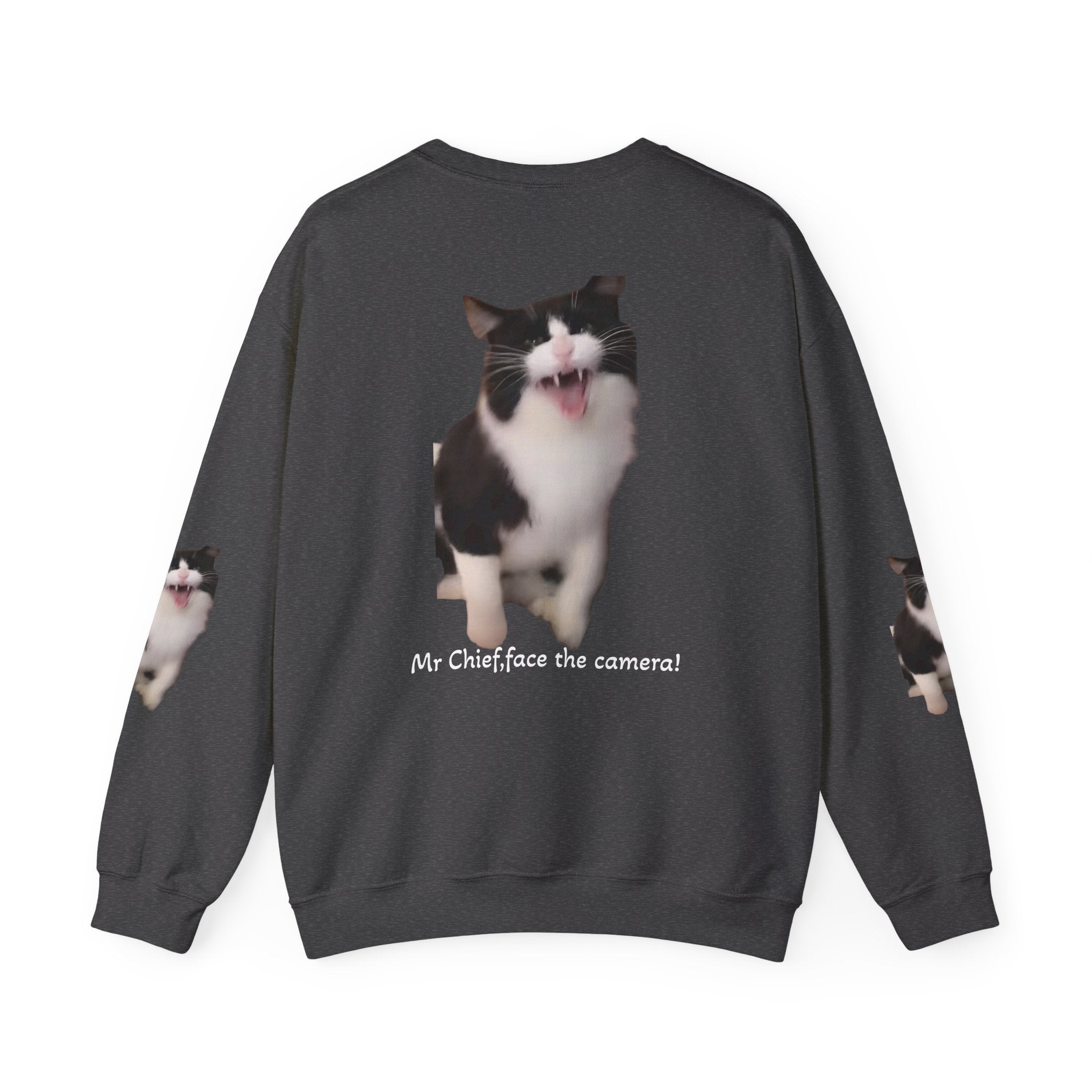 Copy of Crewneck Sweatshirt — 'Mr Chief, face the camera!' Funny Black & White Cat Photo Pullover