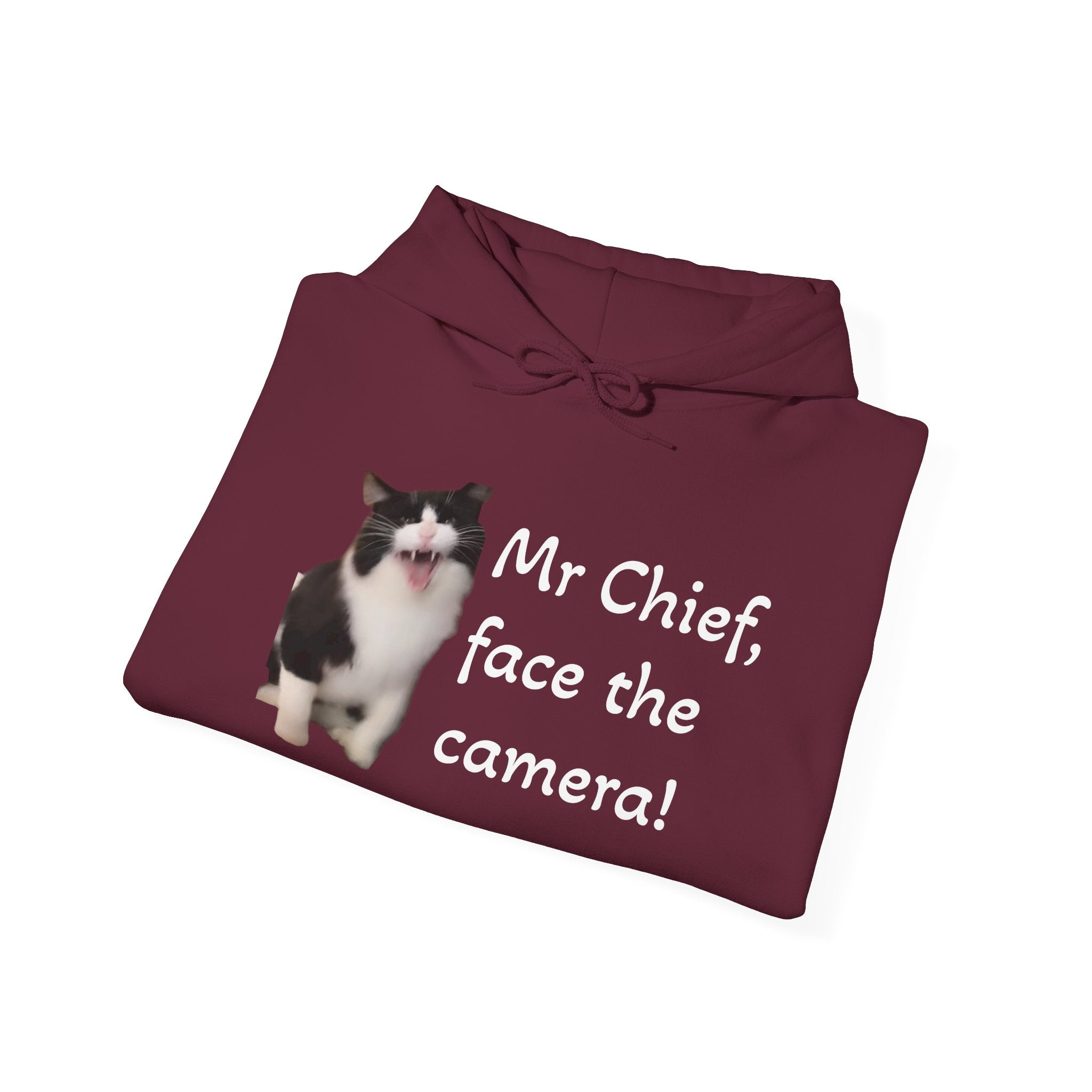 Cat Photo Hoodie — "Mr Chief, face the camera!" Novelty Cat Lover