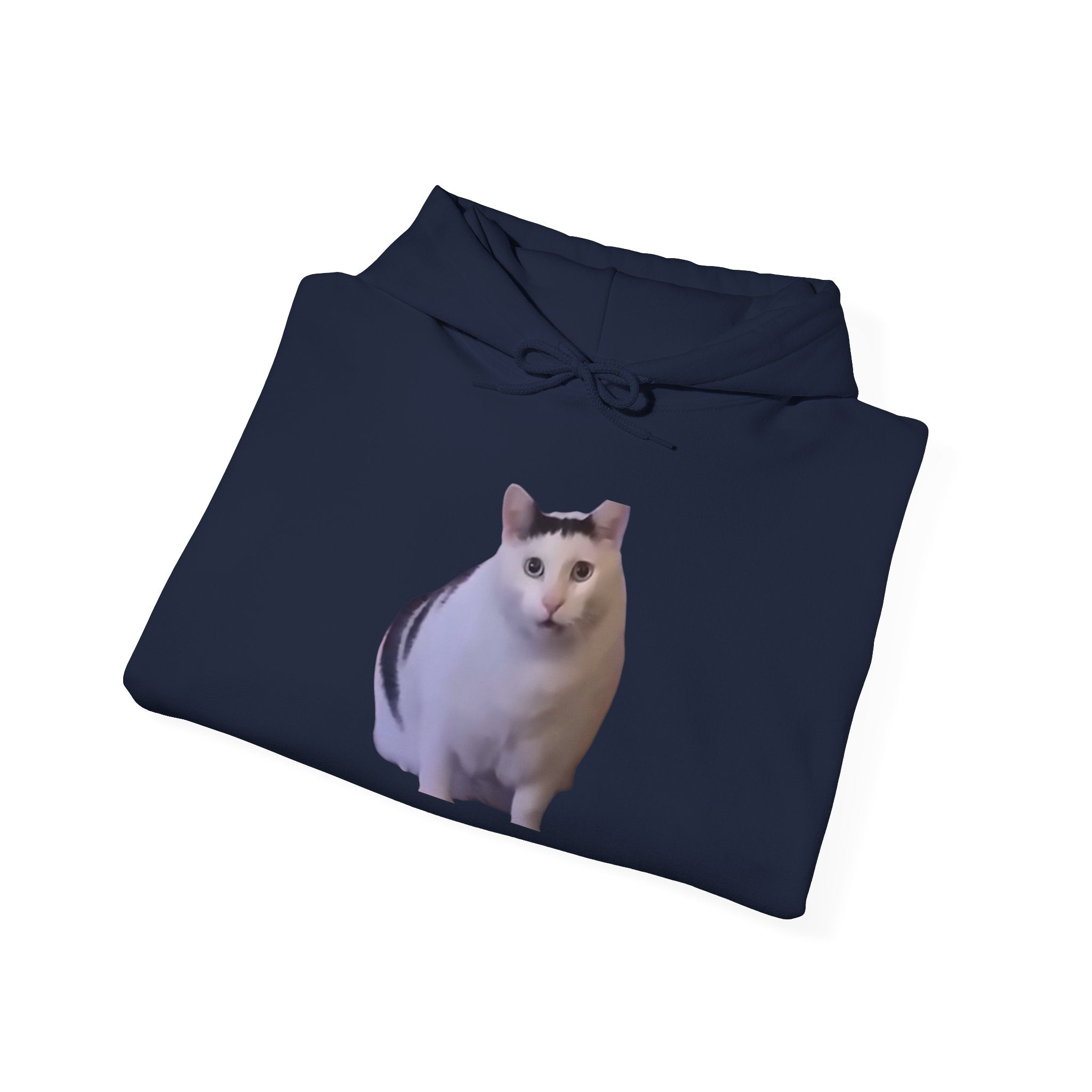 Cat Photo Hoodie – Cute Chubby Cat Pullover