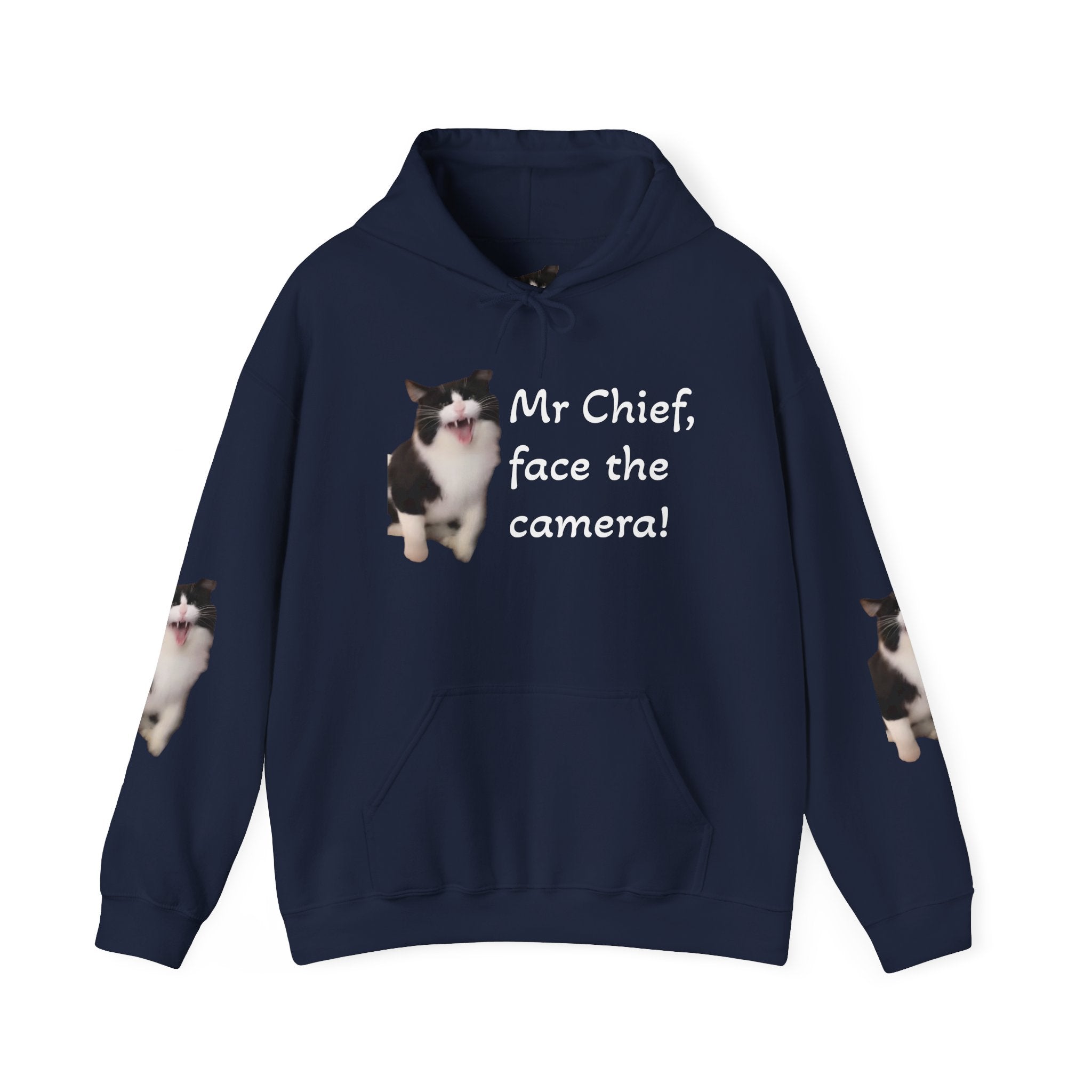 Cat Photo Hoodie — "Mr Chief, face the camera!" Novelty Cat Lover