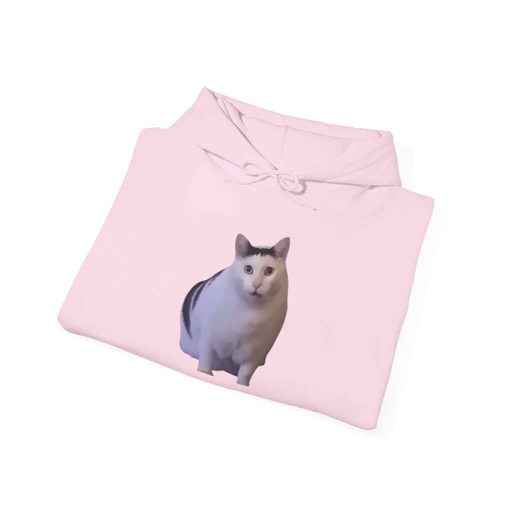 Cat Meme Hoodie — 'HUUUUUUUH' Funny Viral Cat Photo