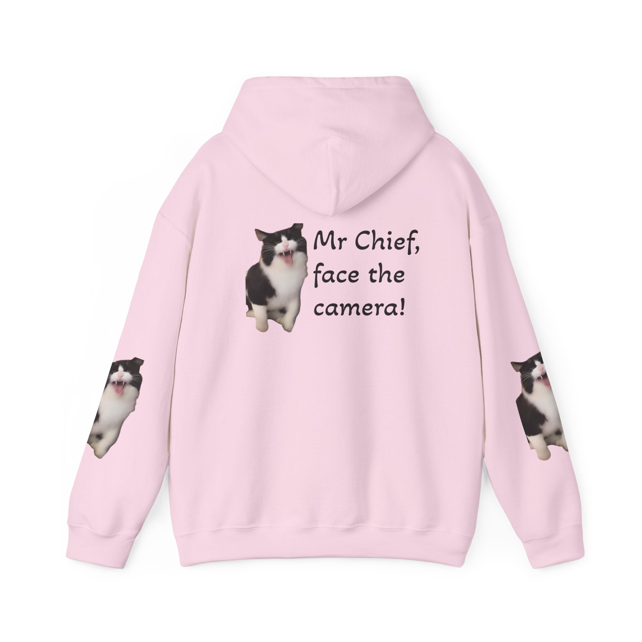 Cat Photo Hoodie — "Mr Chief, face the camera!" Cute Tuxedo Cat Portrait Sweatshirt