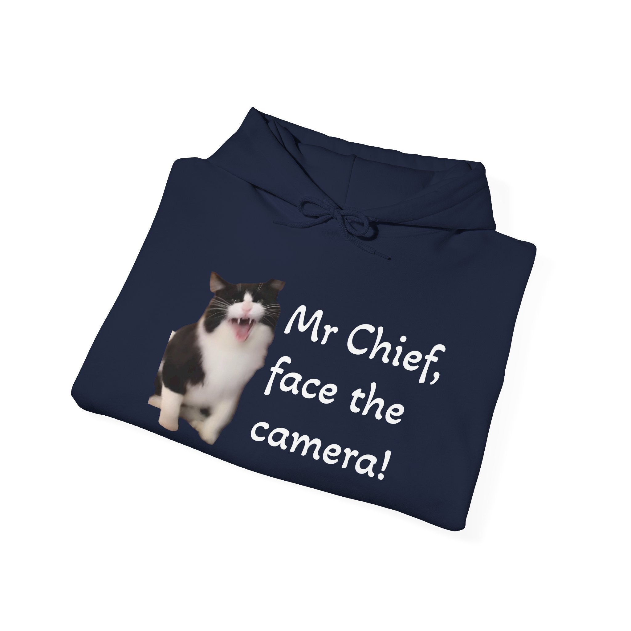 Cat Photo Hoodie — "Mr Chief, face the camera!" Novelty Cat Lover
