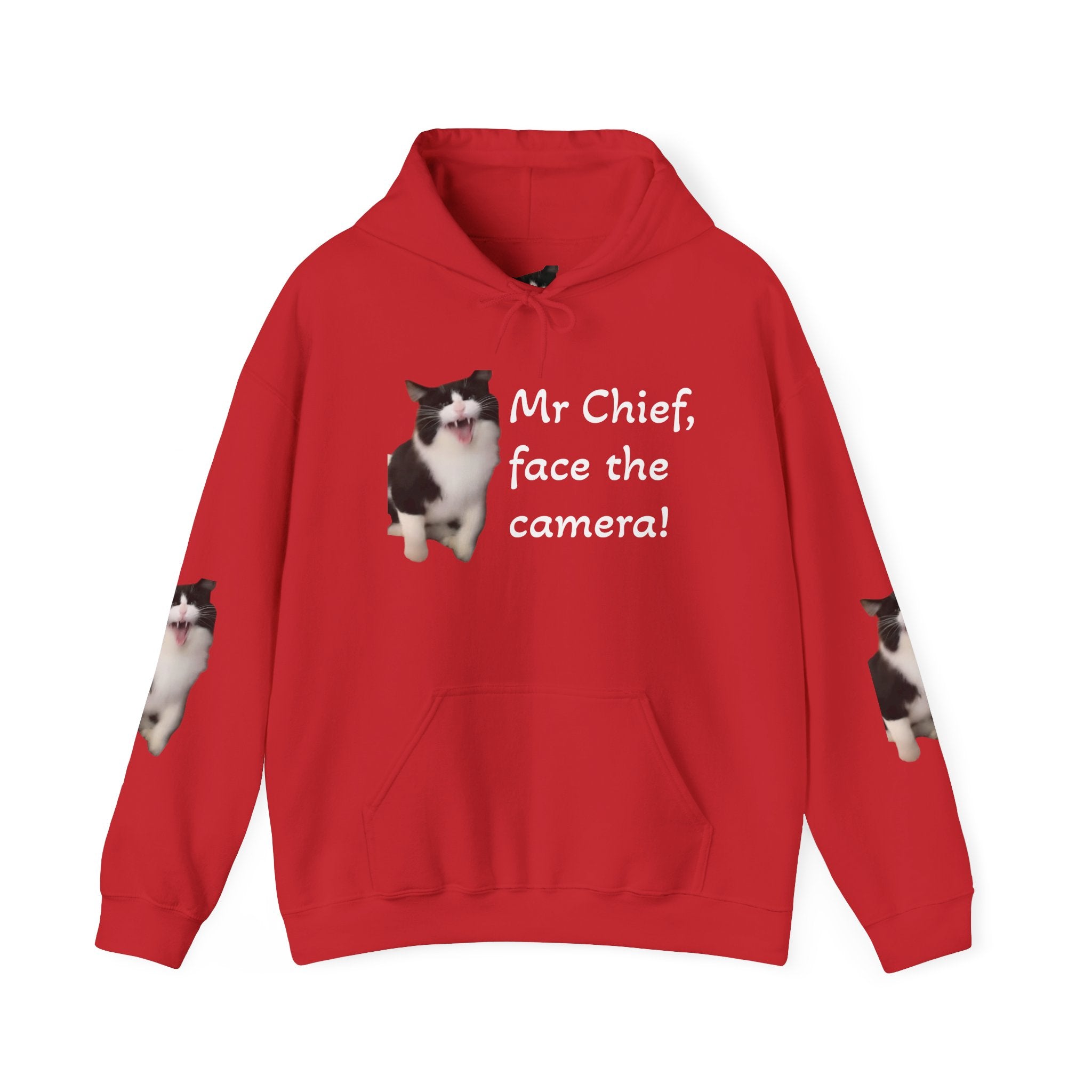 Cat Photo Hoodie — "Mr Chief, face the camera!" Novelty Cat Lover